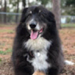 Meet your Posher, Nyles